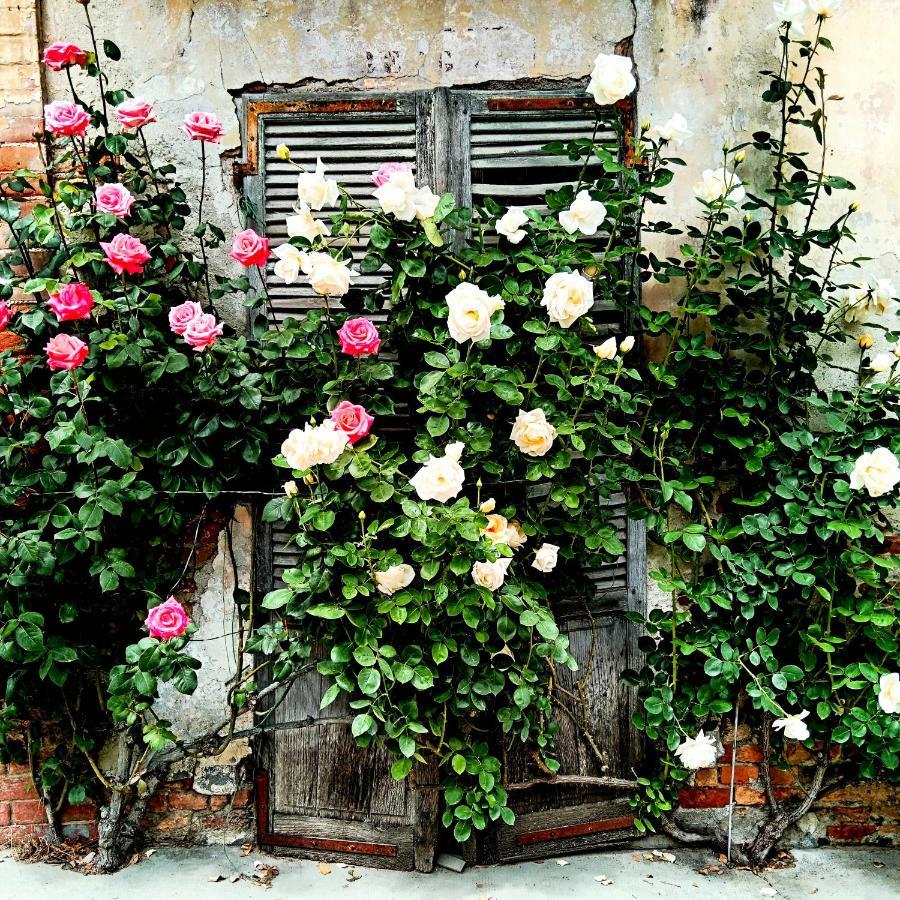 Teresa Al Belvedere Rooms&Holidayapartments Camere&Appartamenti Castellinaldo Exteriör bild