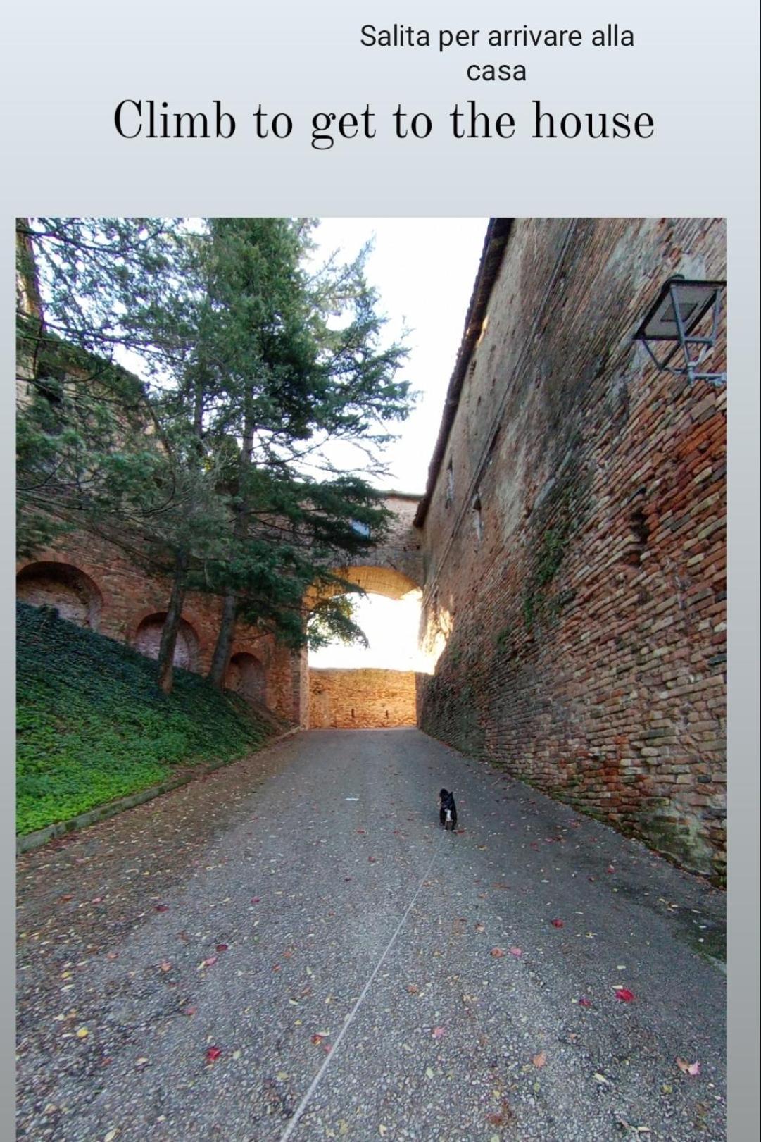 Teresa Al Belvedere Rooms&Holidayapartments Camere&Appartamenti Castellinaldo Exteriör bild