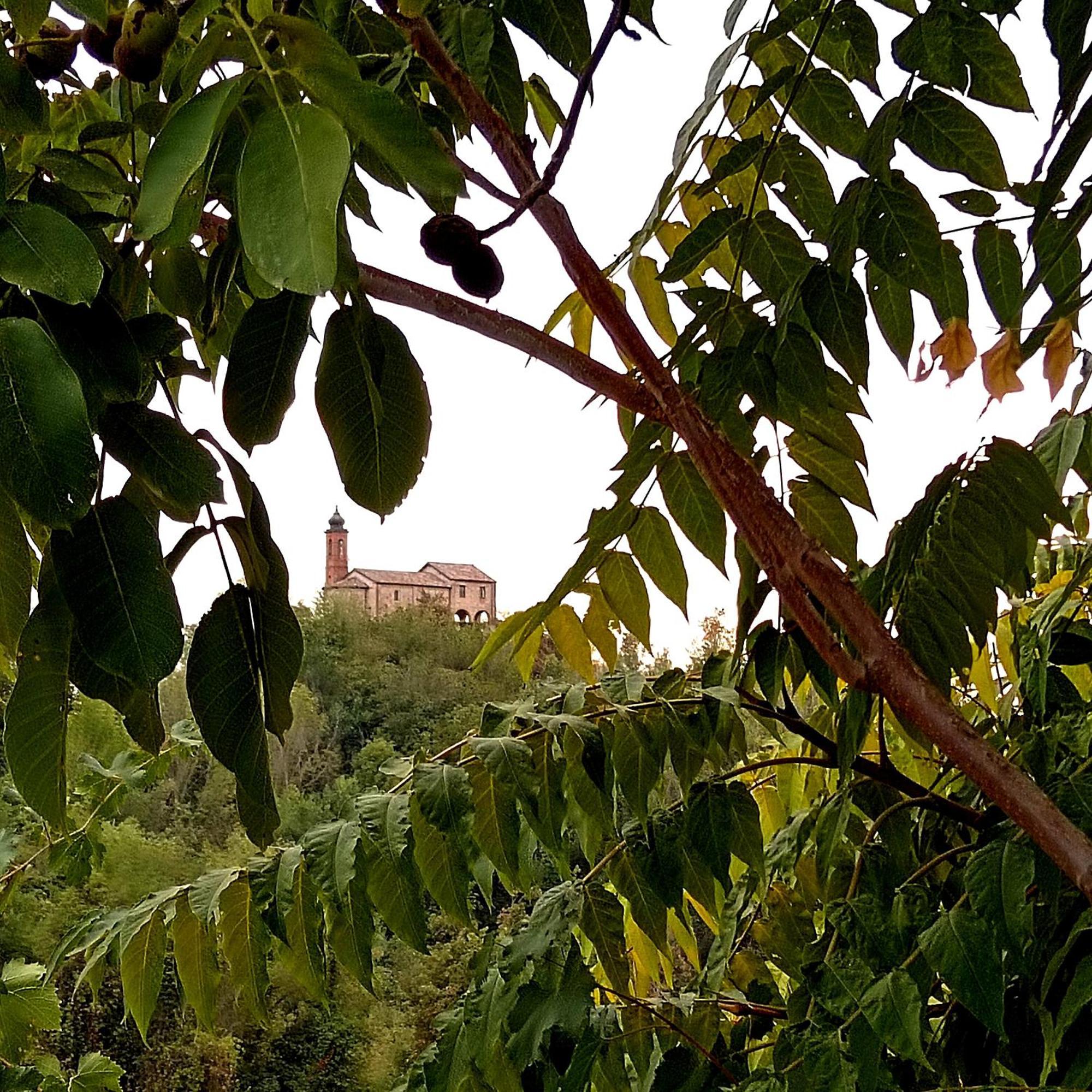 Teresa Al Belvedere Rooms&Holidayapartments Camere&Appartamenti Castellinaldo Exteriör bild
