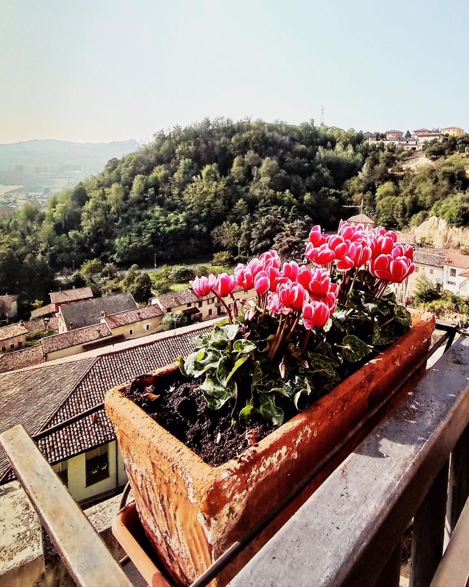 Teresa Al Belvedere Rooms&Holidayapartments Camere&Appartamenti Castellinaldo Exteriör bild